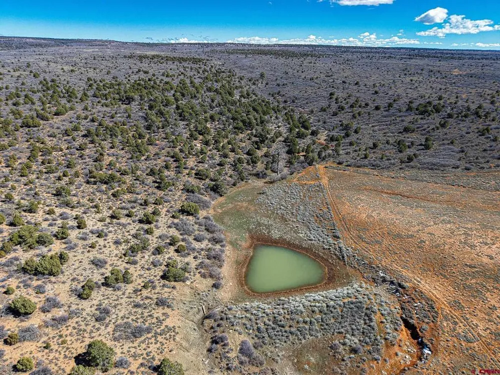 County Line Rd Dove Creek, CO 81324