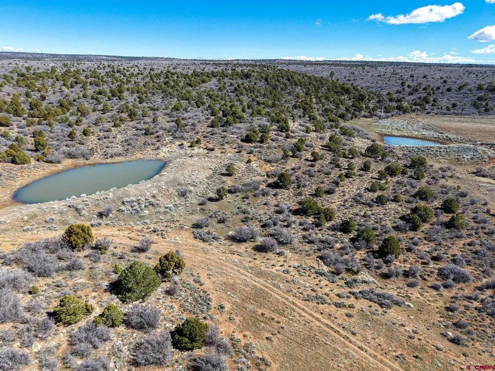 County Line Rd Dove Creek, CO 81324