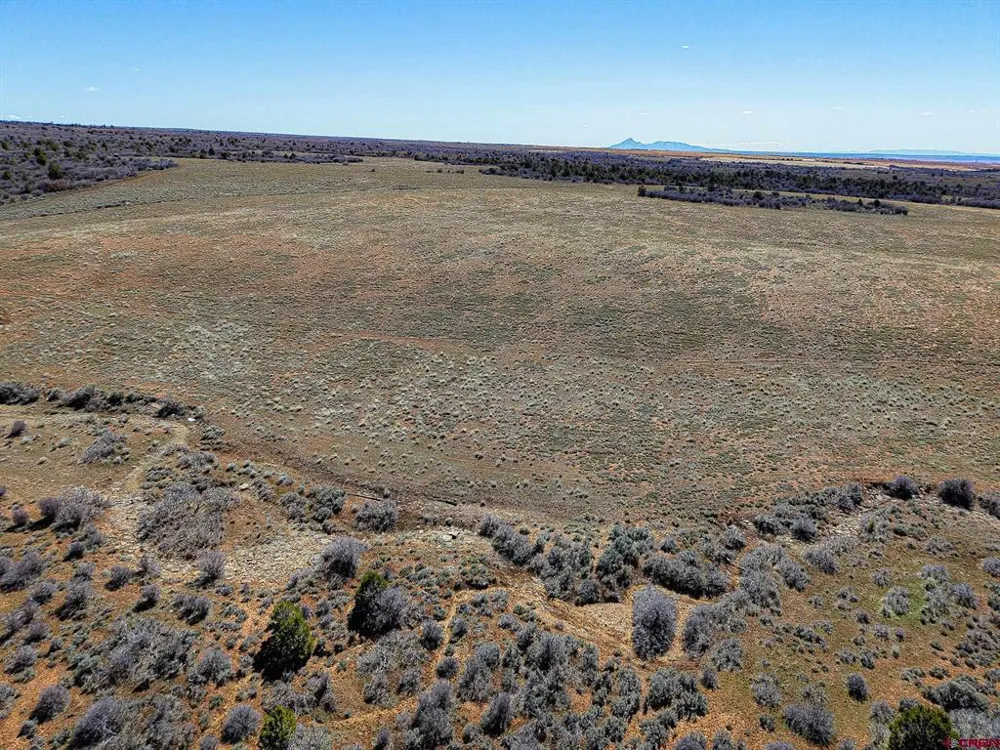 County Line Rd Dove Creek, CO 81324