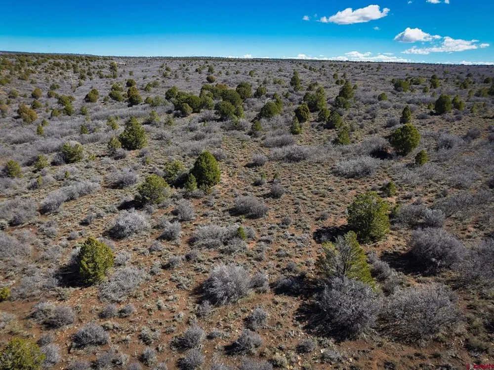 County Line Rd Dove Creek, CO 81324