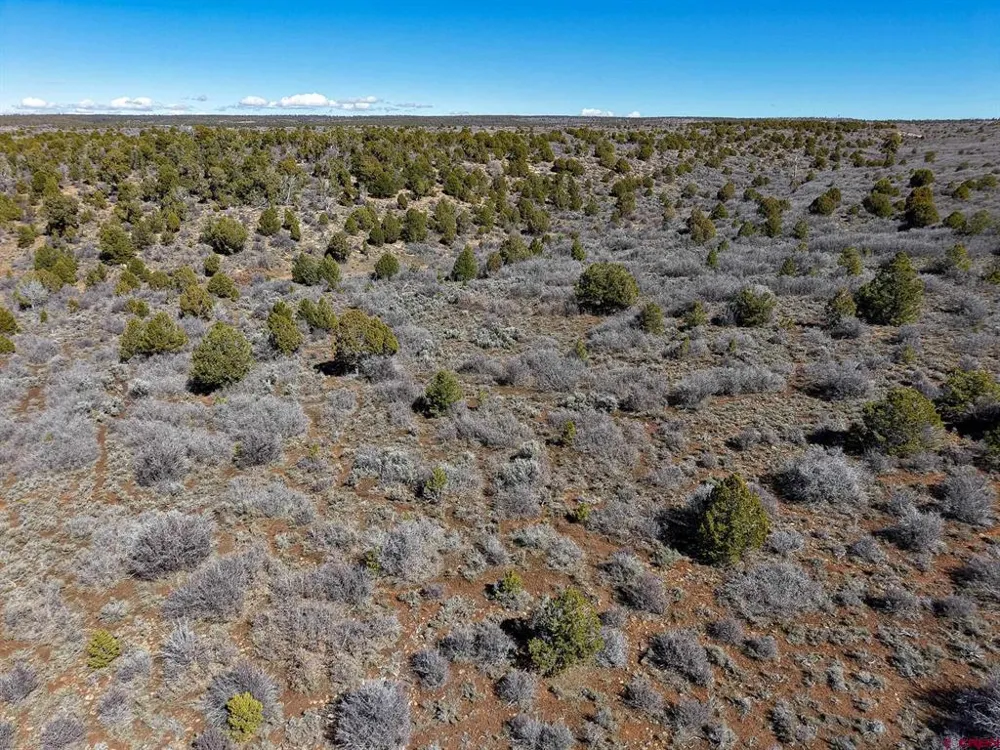 County Line Rd Dove Creek, CO 81324