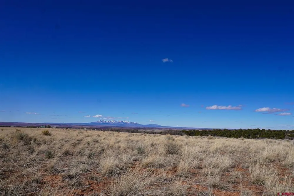 County Line Rd Dove Creek, CO 81324