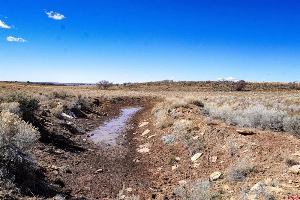County Line Rd Dove Creek, CO 81324