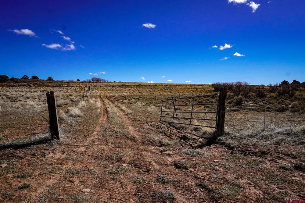 County Line Rd Dove Creek, CO 81324