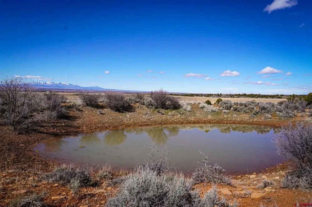 County Line Rd Dove Creek, CO 81324