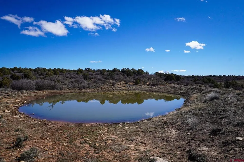 County Line Rd Dove Creek, CO 81324