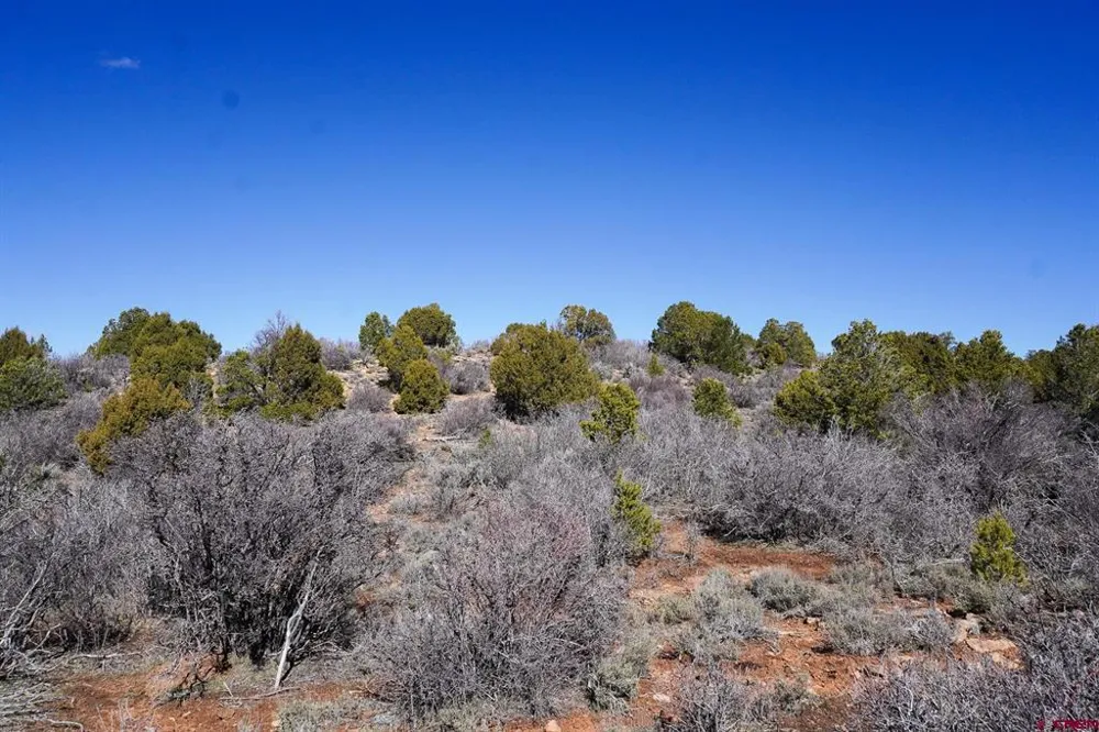County Line Rd Dove Creek, CO 81324