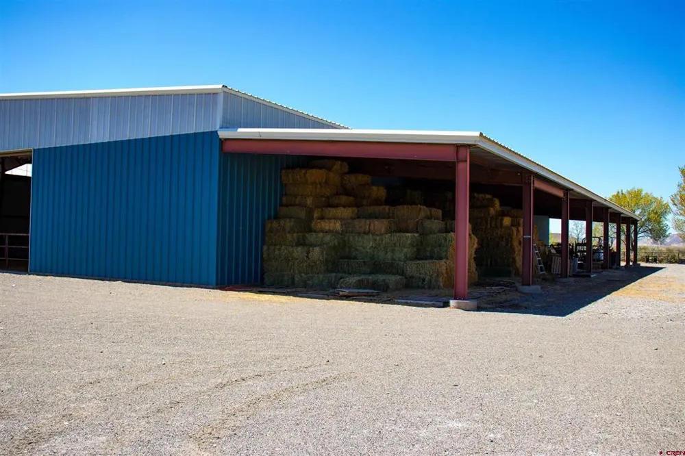 11313 Running Deer Road Eckert, CO 81418