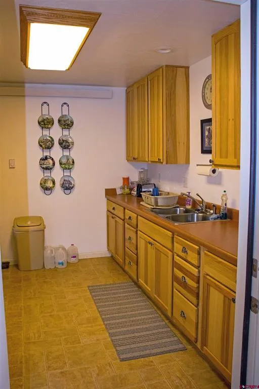 11313 Running Deer Road Eckert, CO 81418