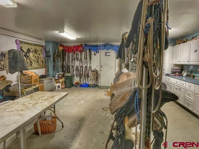 11313 Running Deer Road Eckert, CO 81418