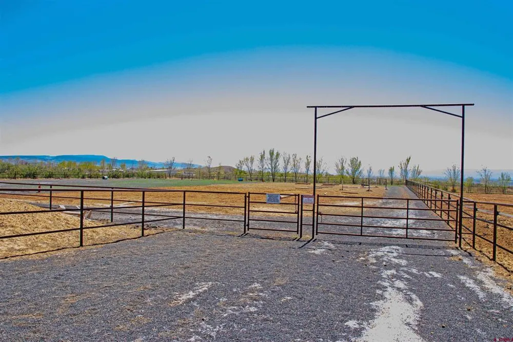 11313 Running Deer Road Eckert, CO 81418