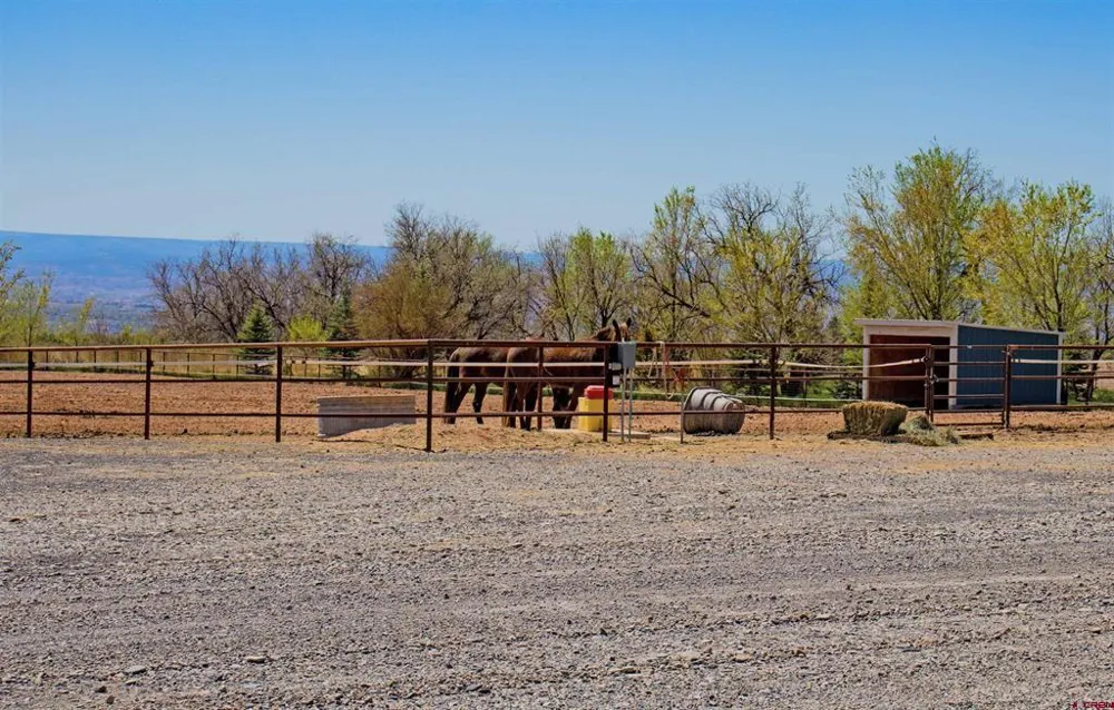 11313 Running Deer Road Eckert, CO 81418