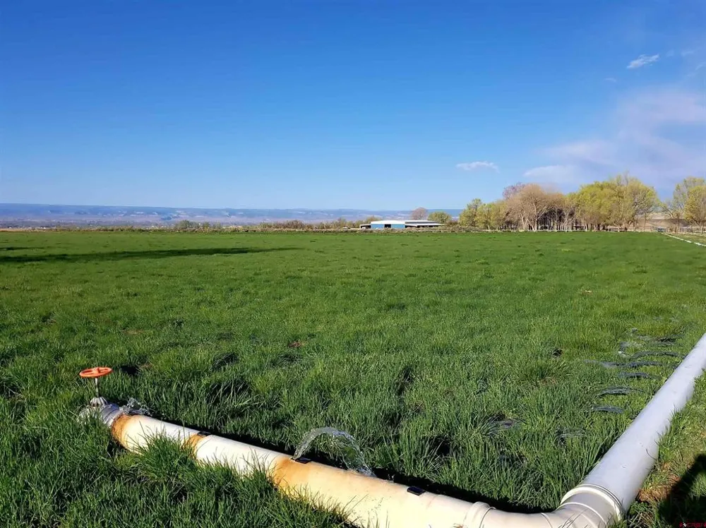 11313 Running Deer Road Eckert, CO 81418