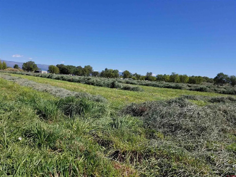 11313 Running Deer Road Eckert, CO 81418