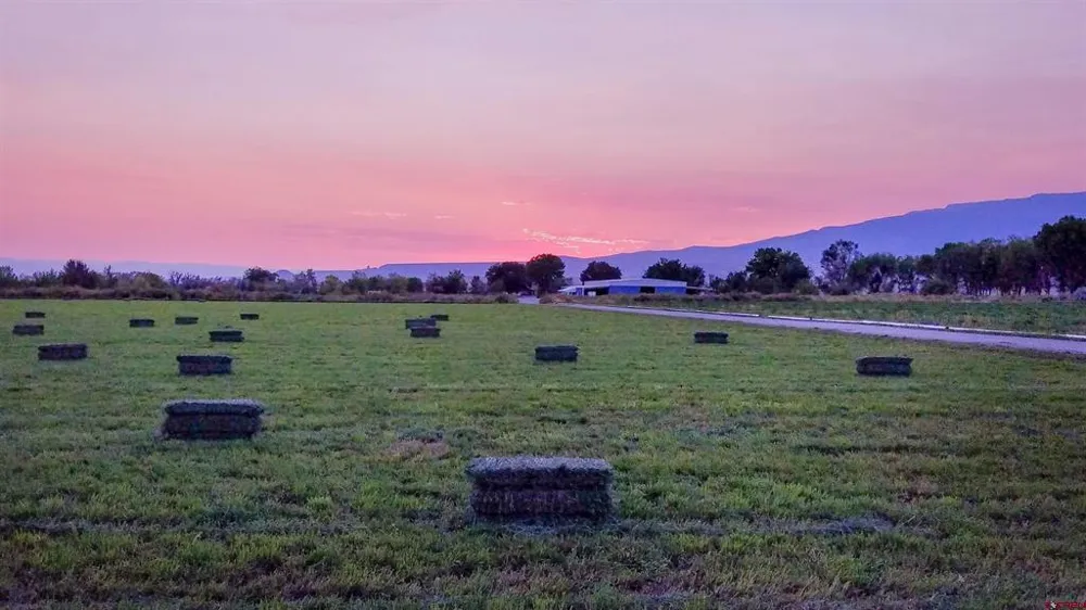 11313 Running Deer Road Eckert, CO 81418