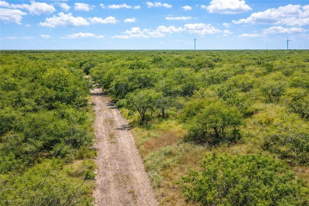 Zinnia Road Other, TX 78580