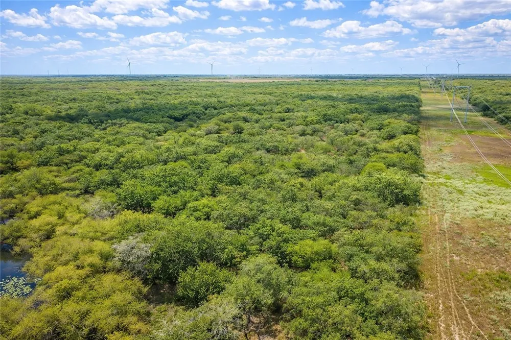 Zinnia Road Other, TX 78580
