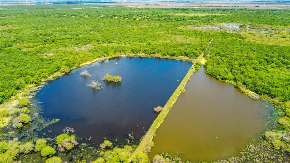 Zinnia Road Other, TX 78580