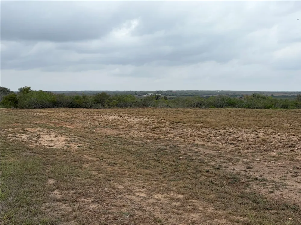 Vista Fina Dagger loop #4 Sandia, TX 78383