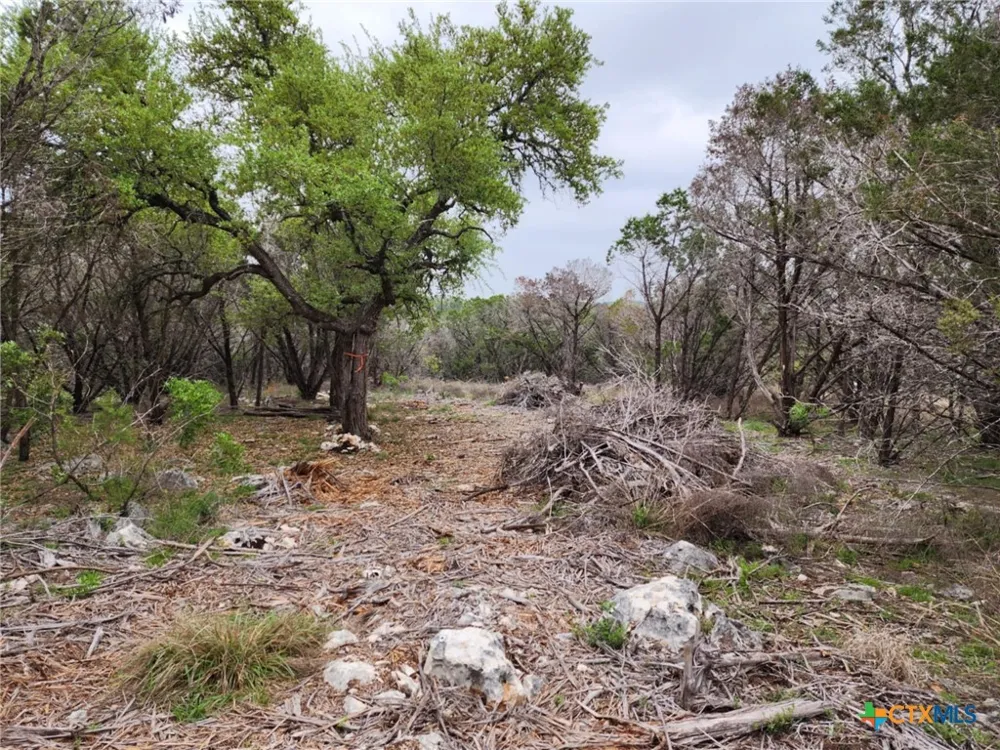 1745 Moon View Drive New Braunfels, TX 78132