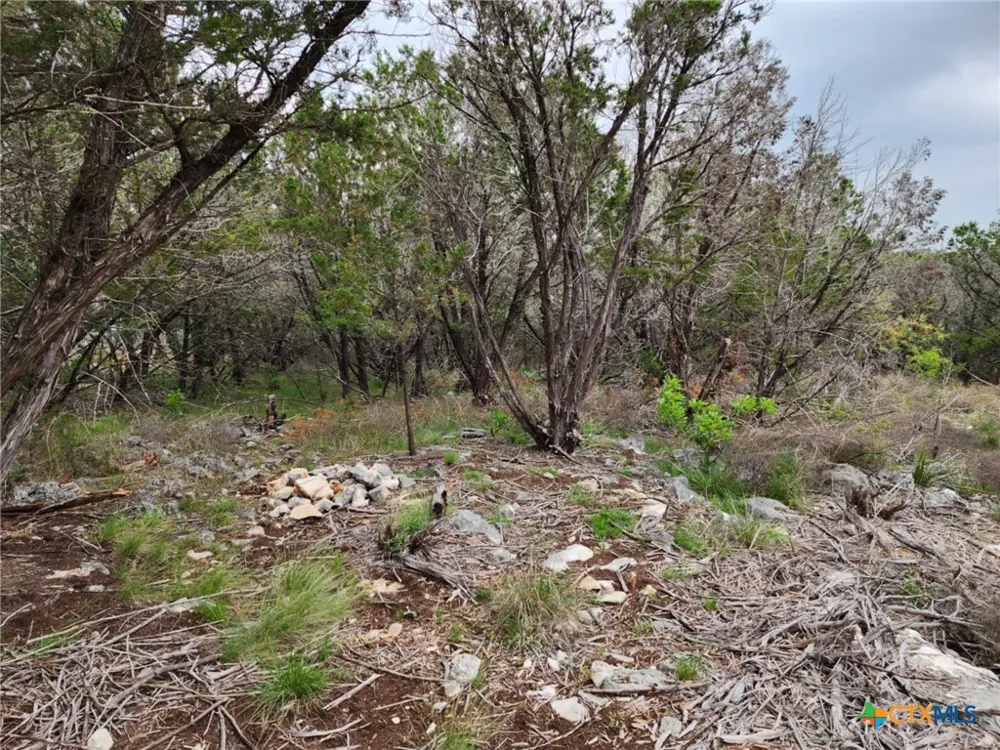 1745 Moon View Drive New Braunfels, TX 78132