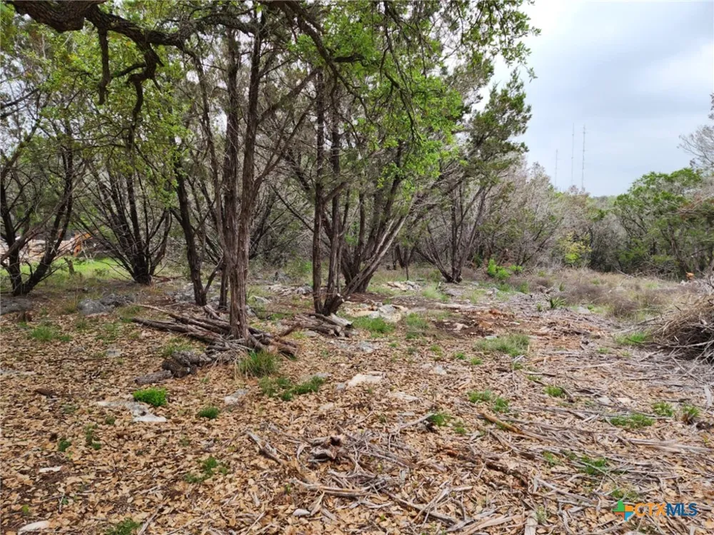 1745 Moon View Drive New Braunfels, TX 78132