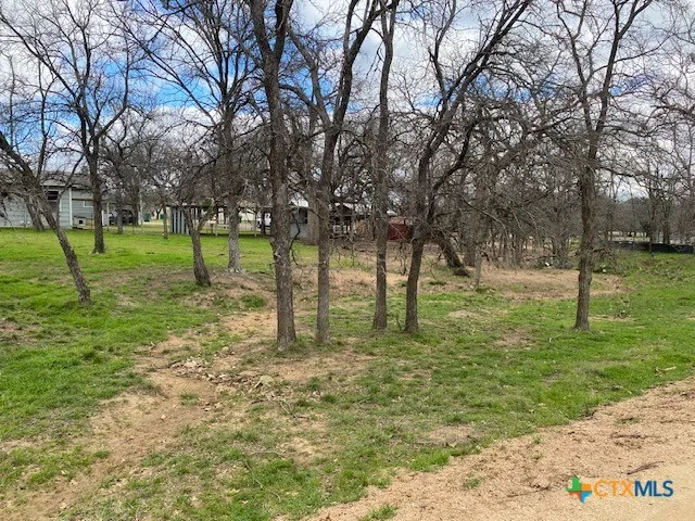 E Hickory Drive Granite Shoals, TX 78654