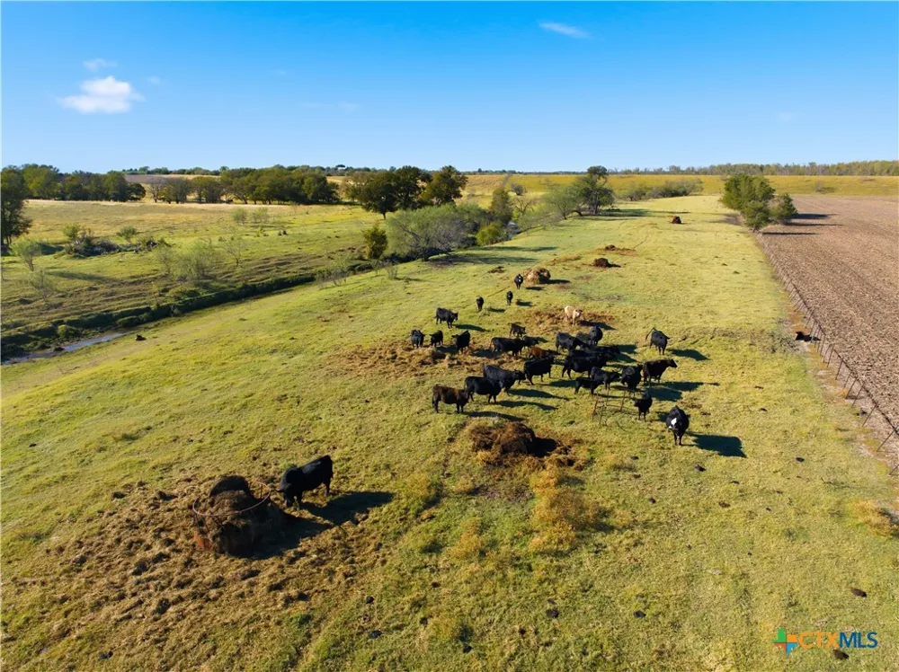 2663 W Crabb Road West, TX 76691