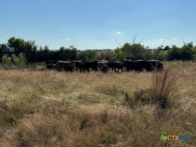 County Road 139 Gatesville, TX 76528