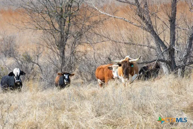 County Road 139 Gatesville, TX 76528