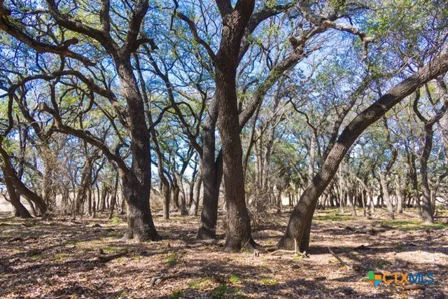 County Road 139 Gatesville, TX 76528