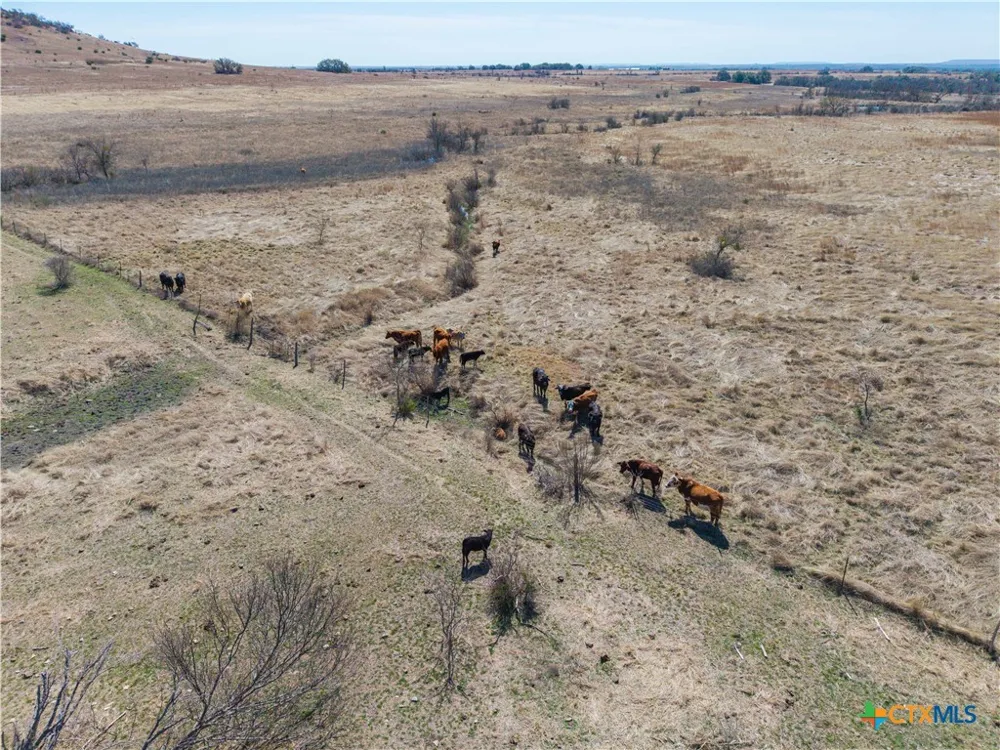 County Road 139 Gatesville, TX 76528