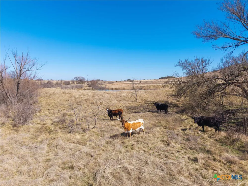 County Road 139 Gatesville, TX 76528