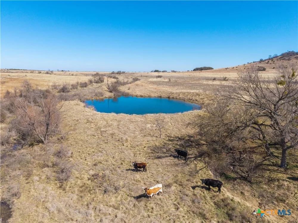 County Road 139 Gatesville, TX 76528