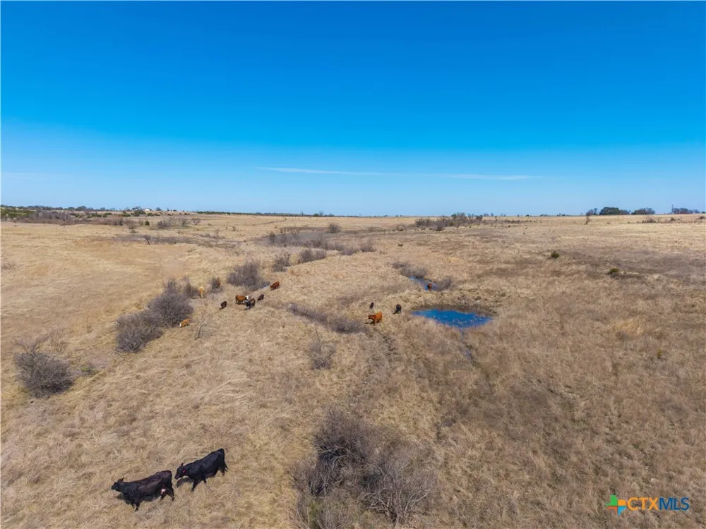 County Road 139 Gatesville, TX 76528
