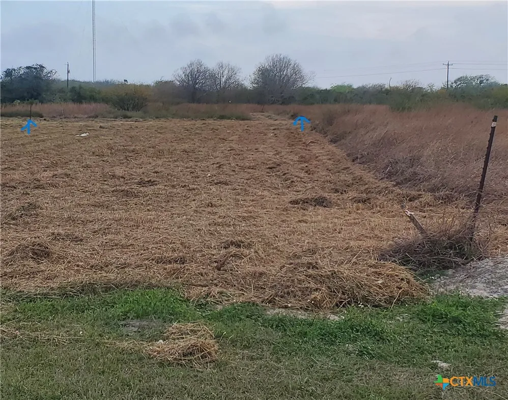 1603 W CLEVELAND AVENUE Seadrift, TX 77983