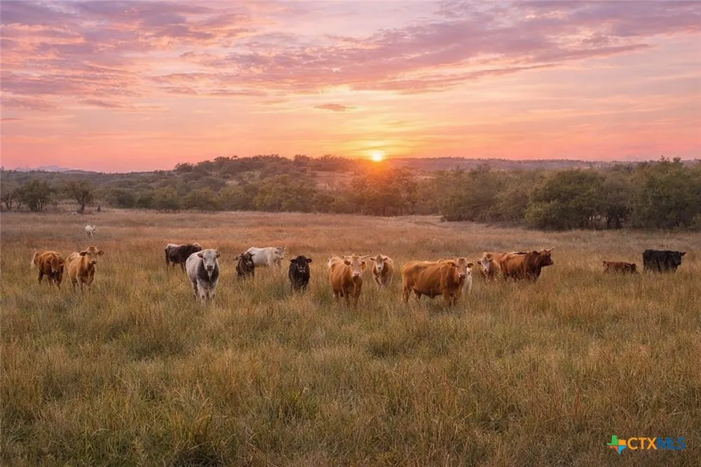 Limestone Hollow Wimberley, TX 78676