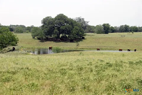 Old Mcmahan Road
