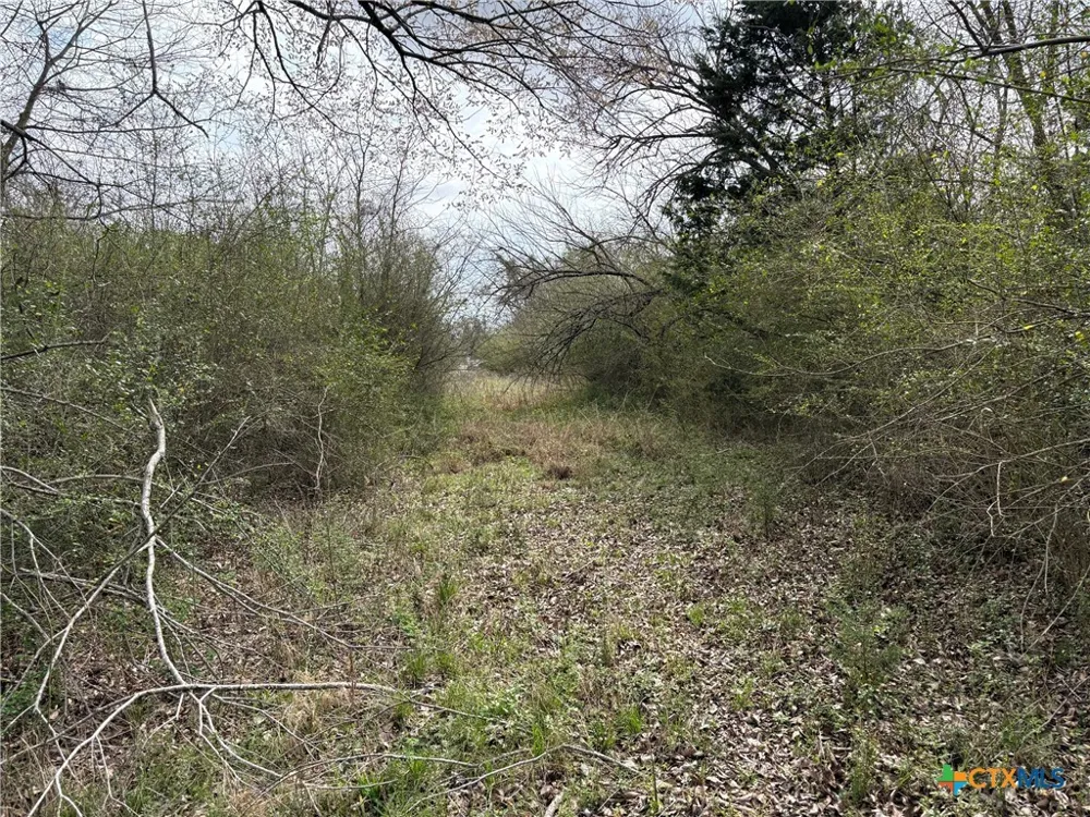 LCR 666 Kosse, TX 76653