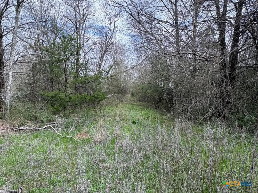 LCR 666 Kosse, TX 76653