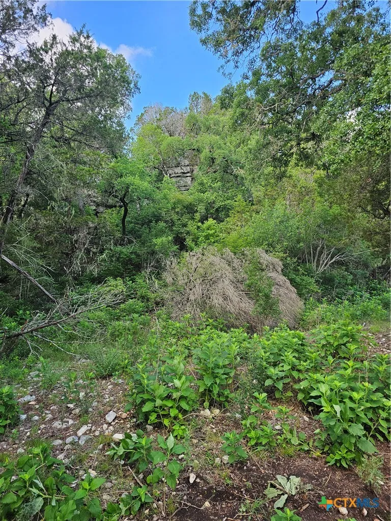 Happy Hollow New Braunfels, TX 78132