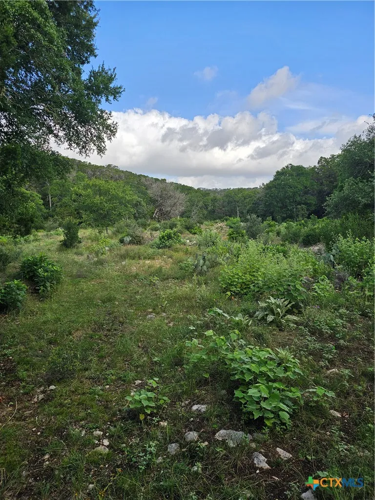 Happy Hollow New Braunfels, TX 78132