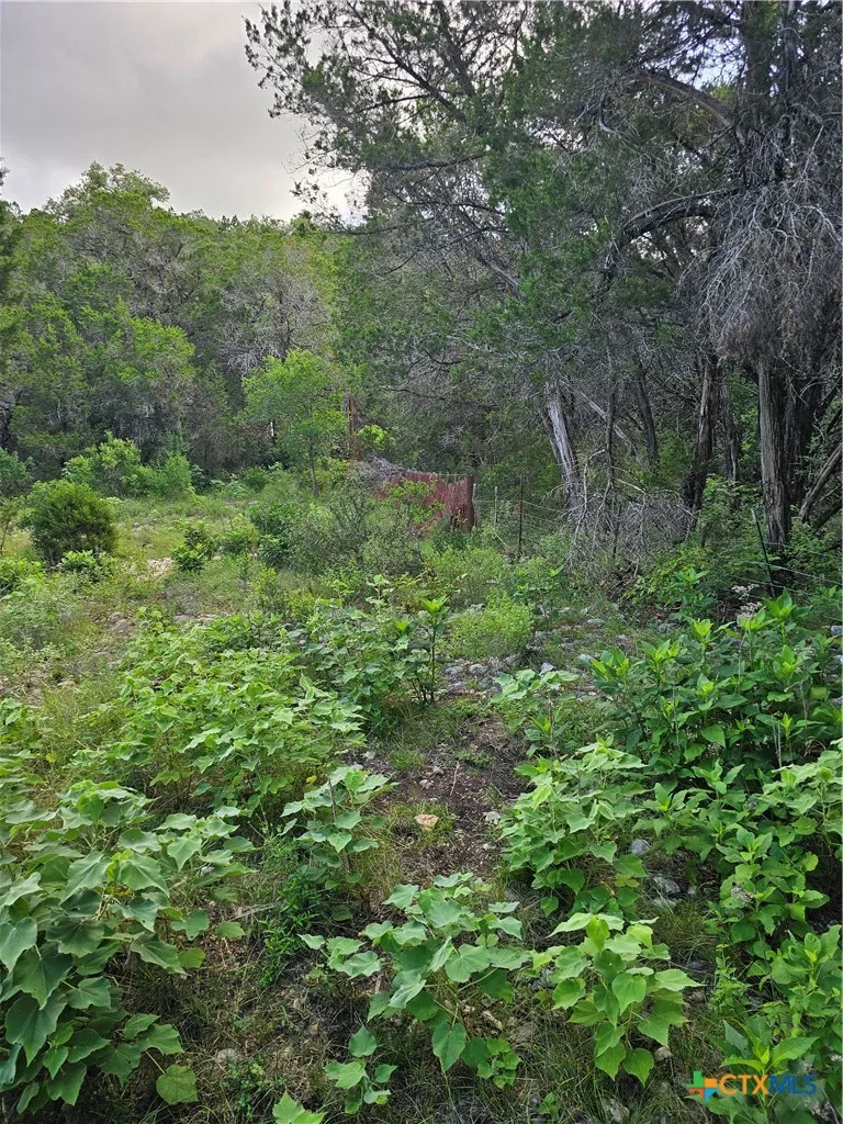 Happy Hollow New Braunfels, TX 78132
