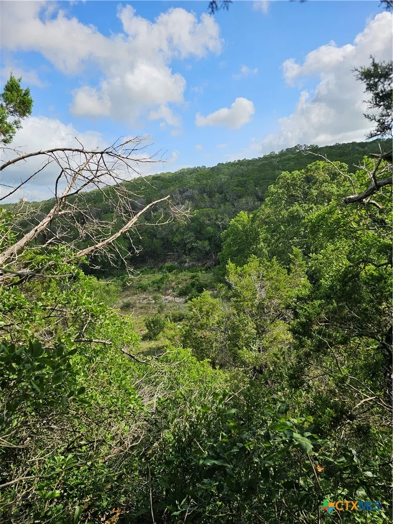 Happy Hollow New Braunfels, TX 78132