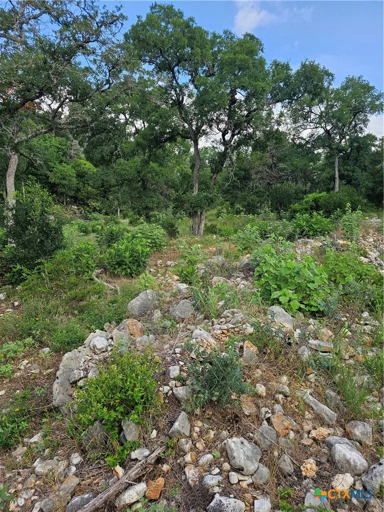 Happy Hollow New Braunfels, TX 78132