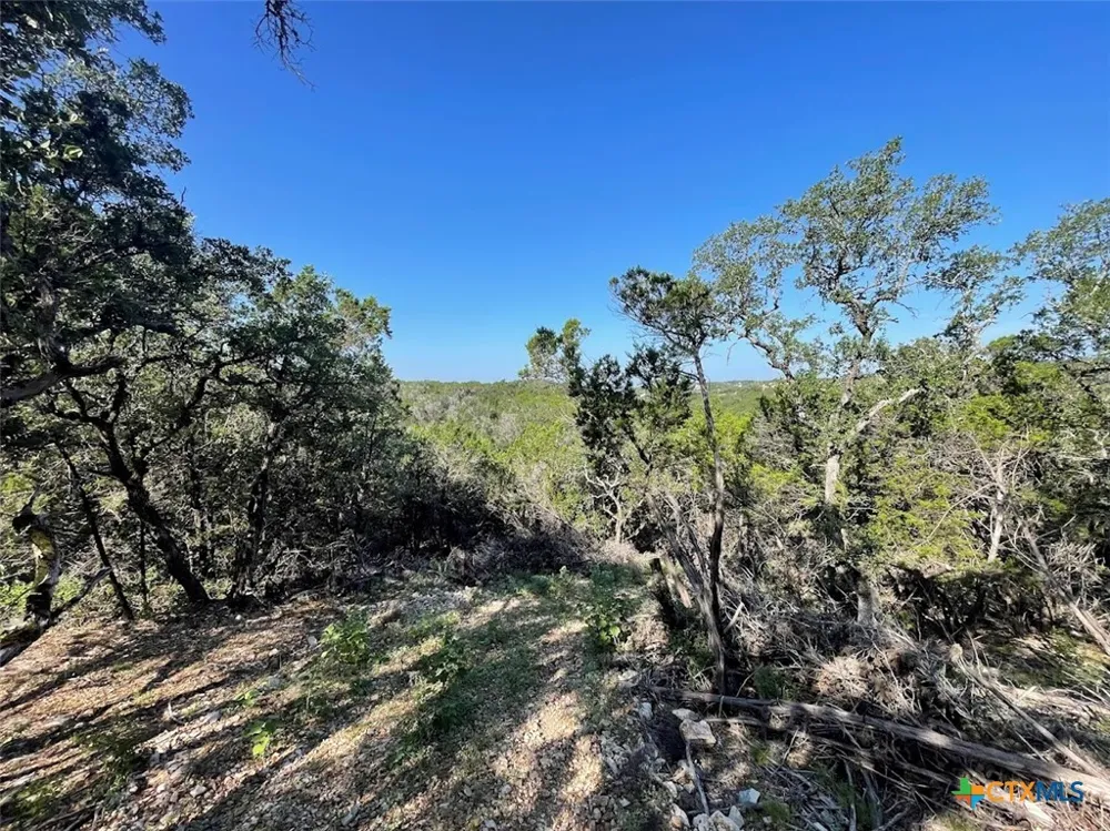 Happy Hollow New Braunfels, TX 78132