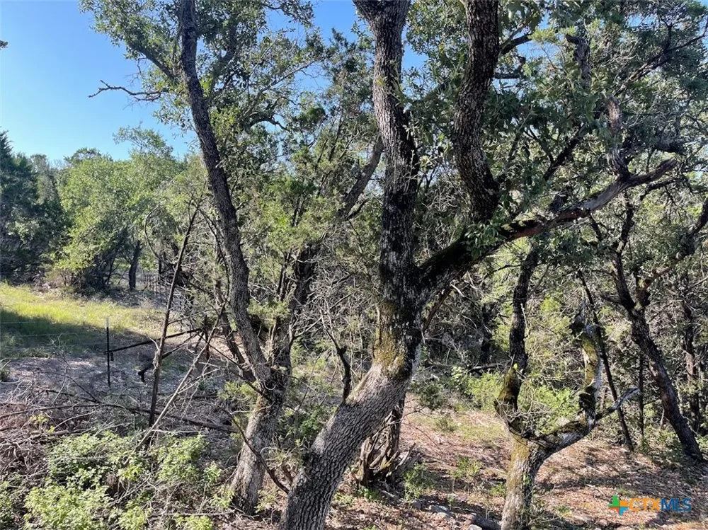 Happy Hollow New Braunfels, TX 78132