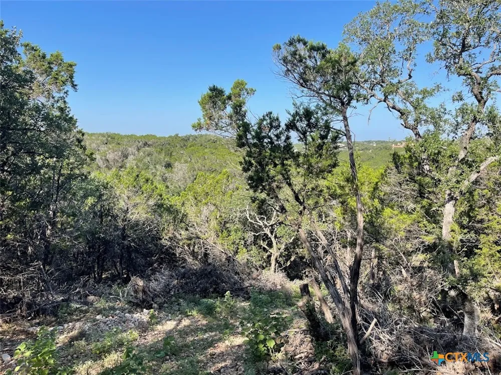 Happy Hollow New Braunfels, TX 78132