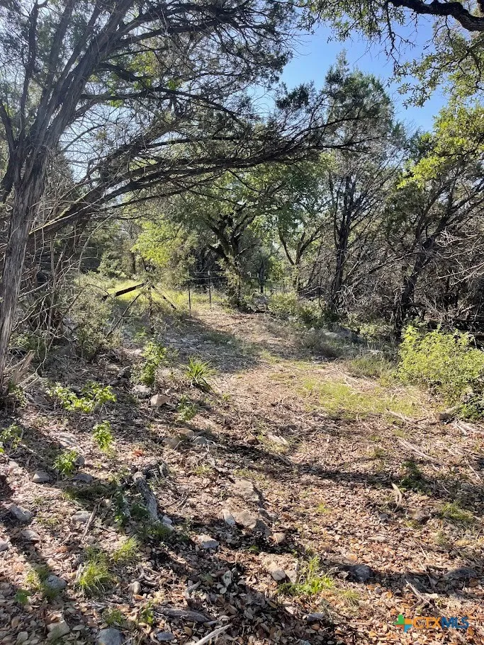 Happy Hollow New Braunfels, TX 78132
