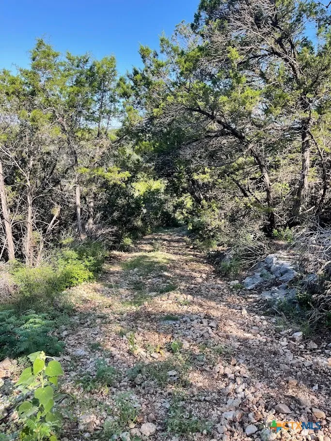 Happy Hollow New Braunfels, TX 78132